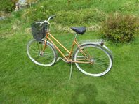 damcykel DBS classic 