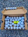 50 st. Bridgestone e6, e7 begagnade golfbollar