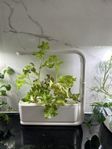 Helt ny hydroponisk odling 3 pods