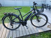 Batavus Zonar E-go Dam