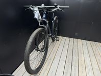 Mountainbike storlek L/XL Strålande skick!