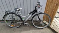 Peak - Dam Cykel