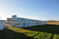 Ensilage