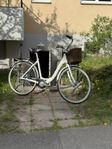 Apollo damcykel 28” 3vxl