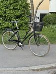 Occano 28” 3vxl