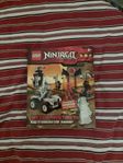 LEGO NINJAGO brickmaster (NY)