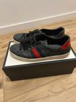 Gucci ace