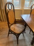 6 rottingstolar, Thonet-inspirerande