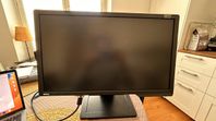 BENQ 24" 144hz