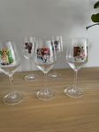 5 st Carolina Gynning vitvinsglas/rose