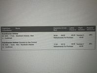 SAS Flygbiljetter ungdom Arlanda/Nice t/r 17-19 juli