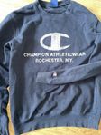 Champion tröja