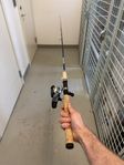 Fiskespö Shimano Alivio DX 210 