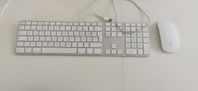 Apple tangentbord+mus
