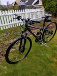 Giant Rove 1