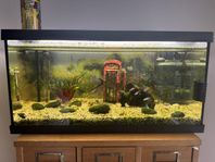 Akvarium EHEIM aquastar 54LED