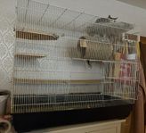 Gd space bur passande till råttor, chinchilla och fågel