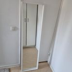 Spegel 40x150cm