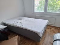 Skotterud säng 120cm + tuddal madrass