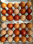 Ägg