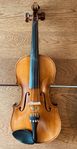 Violin