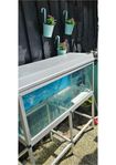 250 lit Akvarium Siliconat
