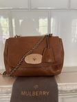 Mulberry Lily oak medium