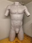 Torso