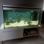 Akvarium 200 L