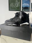 Air Jordan 6 