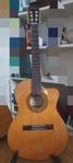 Ibanez GA5TCE AM 