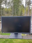 BenQ XL2411B 24" 144hz