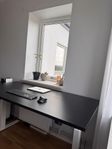 Skrivbord FLEXUS; höj- och sänkbart skrivbord!