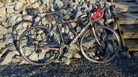 Racercykel Focus Cayo 28"