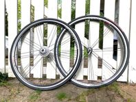 Cyckelhjul racer Campagnolo Bianchi