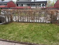 BORTSKÄNKES BOKHÄCK