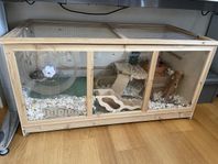 Stor hamsterbur med massa tillbehör