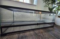 Terrarium 