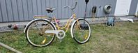 fin fullt fungerande damcykel 