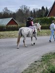 medryttare till maxad B-ponny
