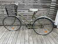 Oväxlad damcykel