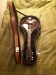 Mandolin Tanglewood TMW-T-WR DARK WINE RED