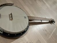 Banjo 5-strängad