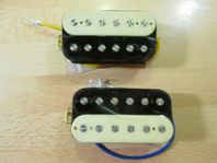 Humbuckermickar 2st i zebrautförande.