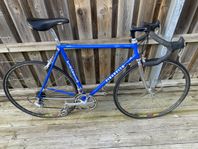 pinarello treviso retroracer