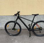 Betgamont revox4