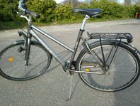 TREK cykel