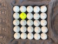 Titleist Pro V1