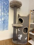 Katten hus