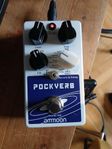 Reverb & delaypedal.